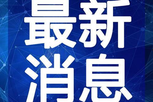 庆阳爆料风景视频大全最新,揭秘庆阳爆料风景视频大全
